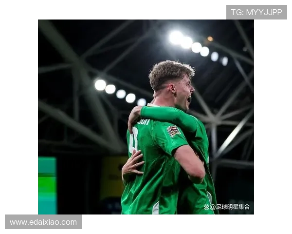 弗格森伤病引发爱尔兰国际关注